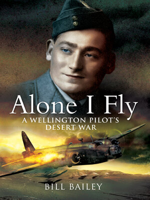Alone I Fly - ebook